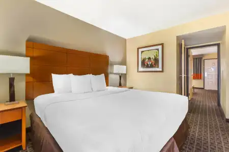 Best Western Plus Scottsdale Thunderbird Suites - 74
