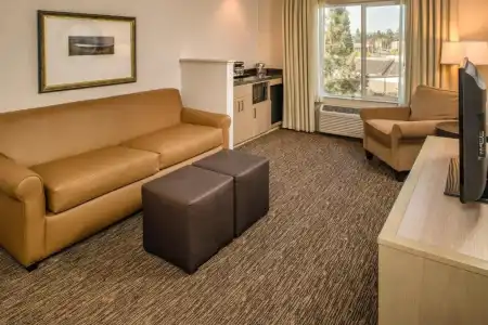 The Newberry Bend, Tapestry Collection by Hilton - 65