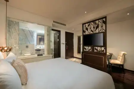 Anatole Hanoi - 45