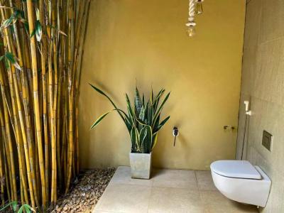Mangrove Beach Chalets - 16