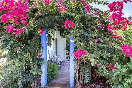 Mesón de Sancho - 102