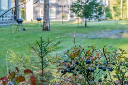 Saimaa Life Apartments - 207