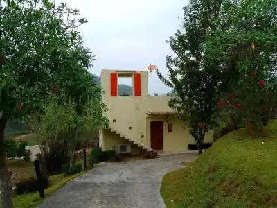 Hi - Scene Resort - 85