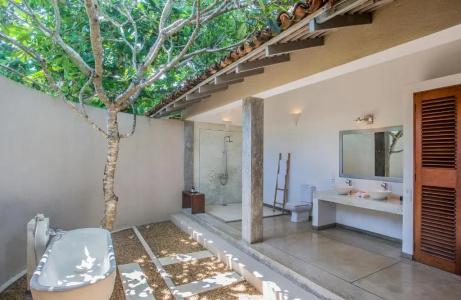 The Frangipani Tree by Edwards Collection - 62