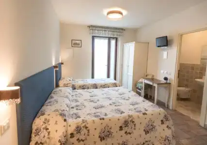 Rosa di Assisi - 54