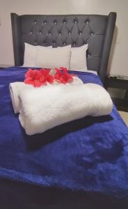 Acuarium Suite Resort - 18