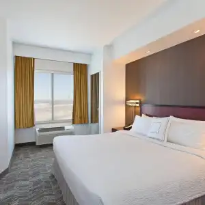SpringHill Suites by Marriott El Paso - 29