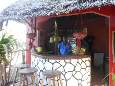 Mbuyuni Beach Village - 21
