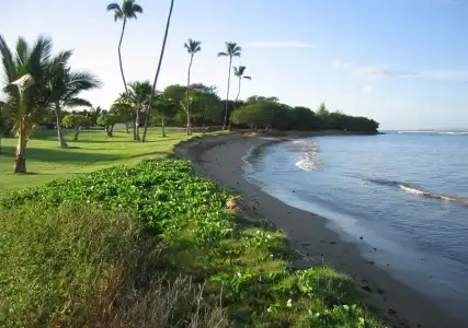 Maui Sunset - 20