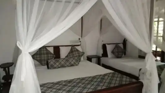 Sigiriya Rock Gate Resort - 37