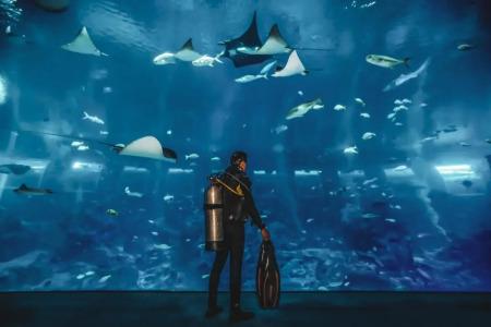 Resorts World Sentosa - Crockfords Tower - 30