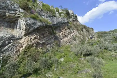 MySEELE - 37