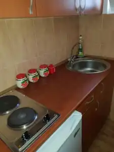 Apartments Todor - 21