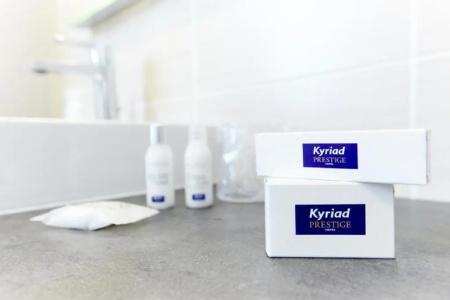 Kyriad Prestige Vannes Centre – Palais Des Arts - 65