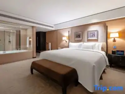 The Lakeview - 65