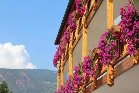 GardenPremstaller - 30