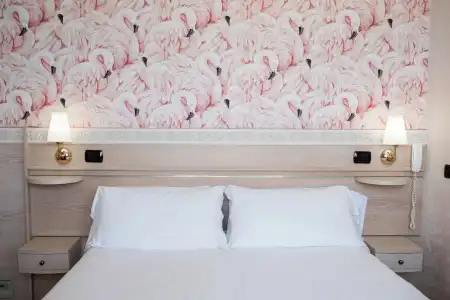 Flamingo - 3