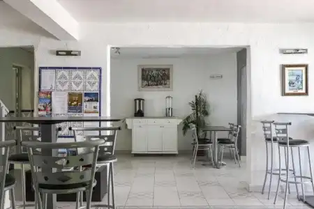 Hôtel Les Palmiers en Camargue - 9