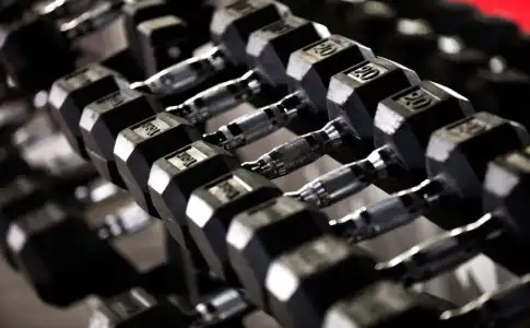 Pennyweight Boston, Curio Collection by Hilton - 21