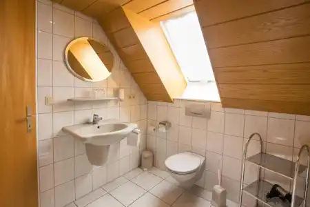 Hotel-Gasthof Goldener Greifen - 6