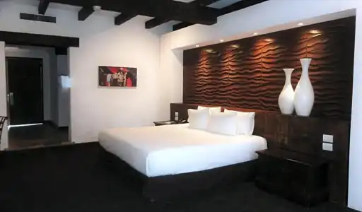 Radisson Tapatio Guadalajara - 57