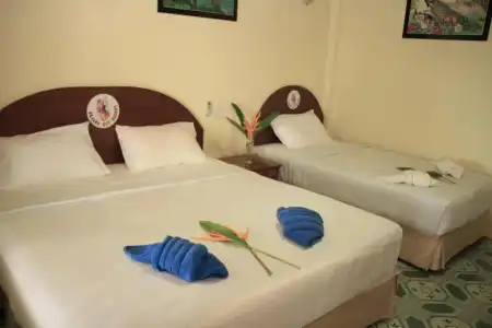 Phangan Dragon Hut Resort - 51
