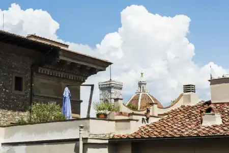 Milu Florence - 2