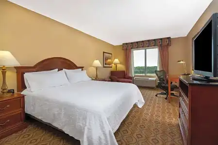 Hilton Garden Inn Florence - 42