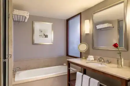 Sheraton Buenos Aires & Convention Center - 102