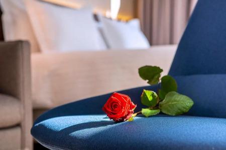 Radisson Blu Rouen Centre - 56