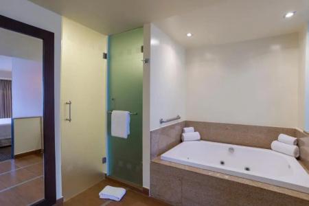 Holiday Inn Mexico City - Plaza Universidad by IHG - 124