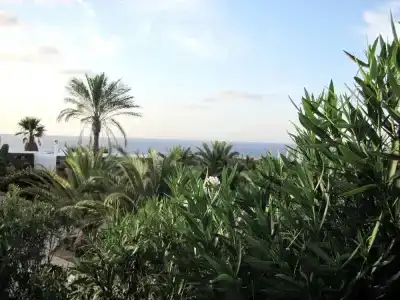 I Dammusini di Pantelleria - 59