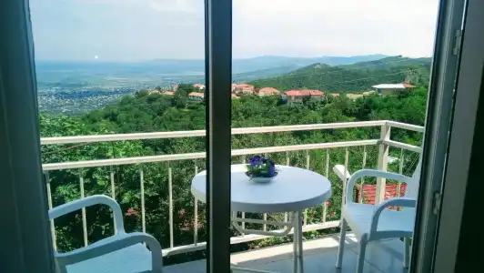 Guest House Alazani Valley - 32