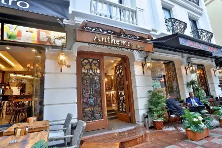 Anthemis - 0