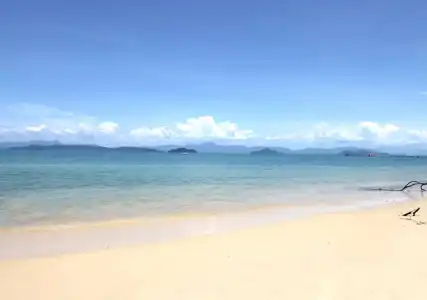 PP Land Beach Eco Resort - 5