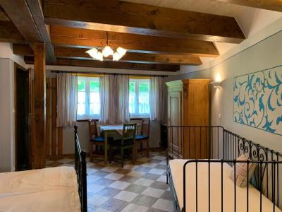 Pension Amadeus - 48