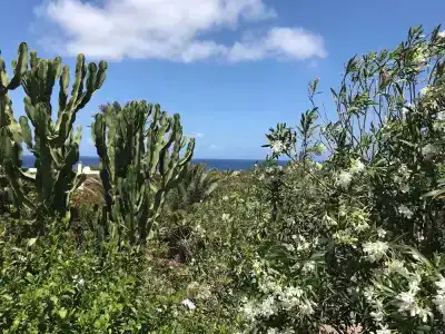 I Dammusini di Pantelleria - 60