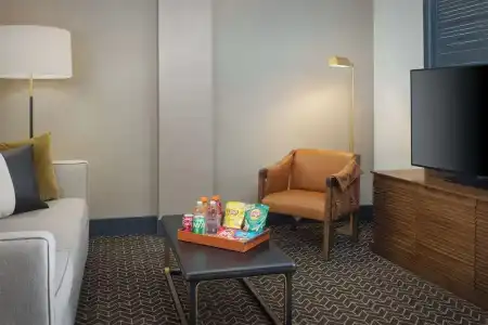 DoubleTree Suites by Hilton Lexington - 99