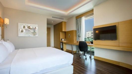 Holiday Inn Ankara - Cukurambar by IHG - 85