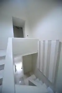 Gatto Bianco Duchessa - 18