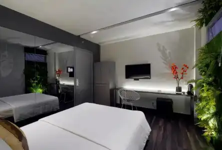Bonita Signature - 32