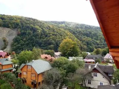 Sofia - 71
