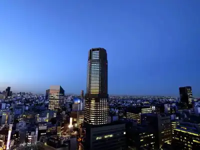 Cerulean Tower Tokyu, A Pan Pacific Partner - 64