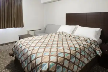 Stay Inn - 31