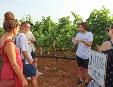 Volito - Rural Experience - 16