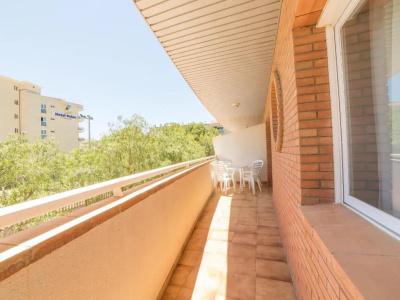 Palas Pineda - 61