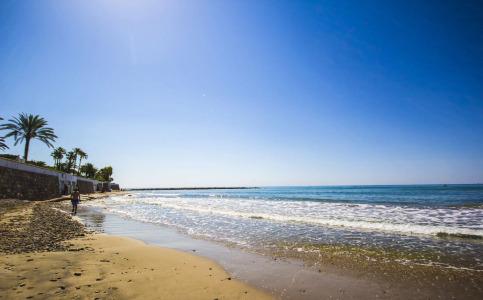 Kalma Jardín de Bellver - 30