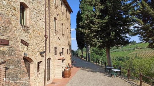 Rocca degli Olivi - 84