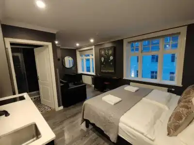Vintage Apartment - 65