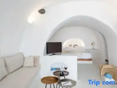 Cocoon Suites - 166